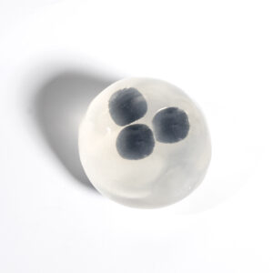 Fruit Mochi Vaseline Handmade Ball - Blueberry